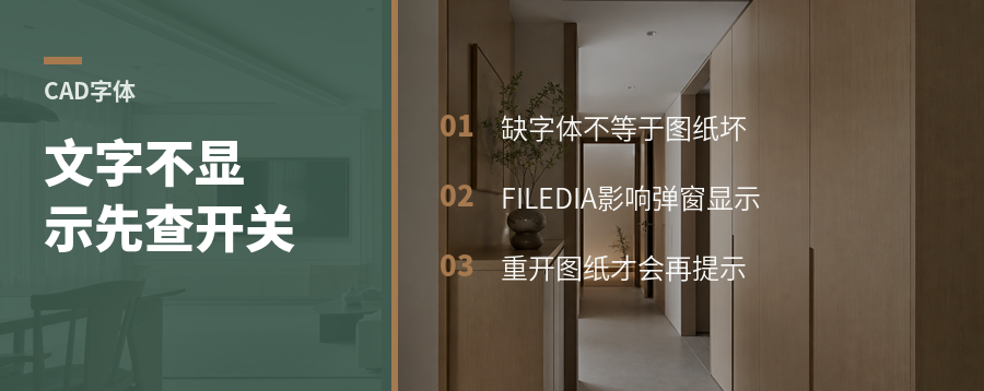CAD文字不显示，可能卡在这个开关