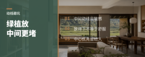 过道中间放绿植，为什么越摆越堵