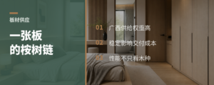 一张定制板背后的广西桉树供应链