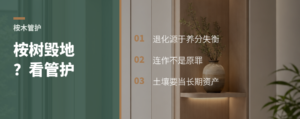 桉树会把地种“瘦”吗？关键看管护