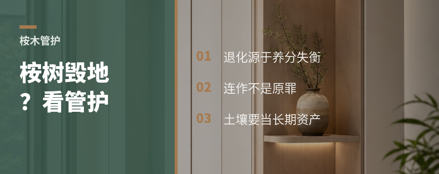桉树会把地种“瘦”吗？关键看管护