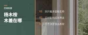 多层板芯材，杨木和桉木差在哪