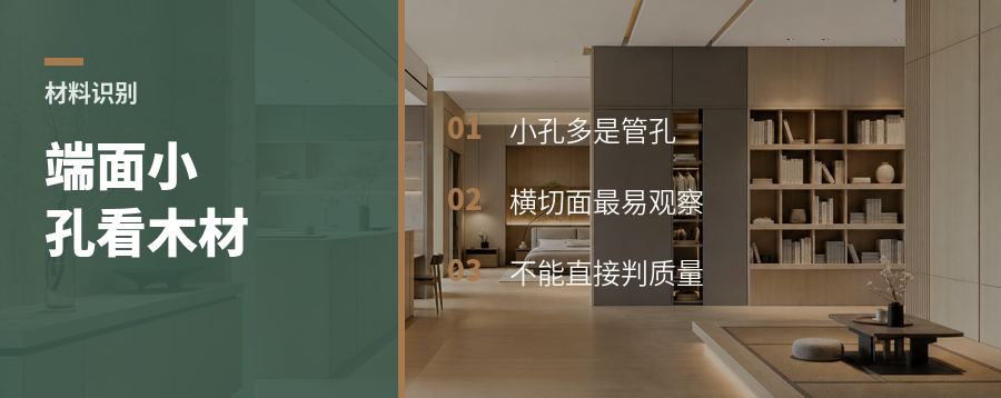 木材横截面的小孔，藏着树种线索