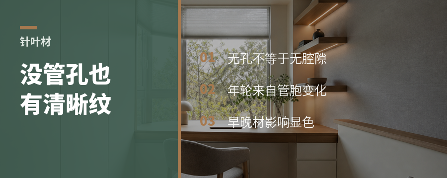 针叶材没管孔，纹理为何还清楚