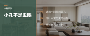 木材小孔里藏着阔叶木身份线索