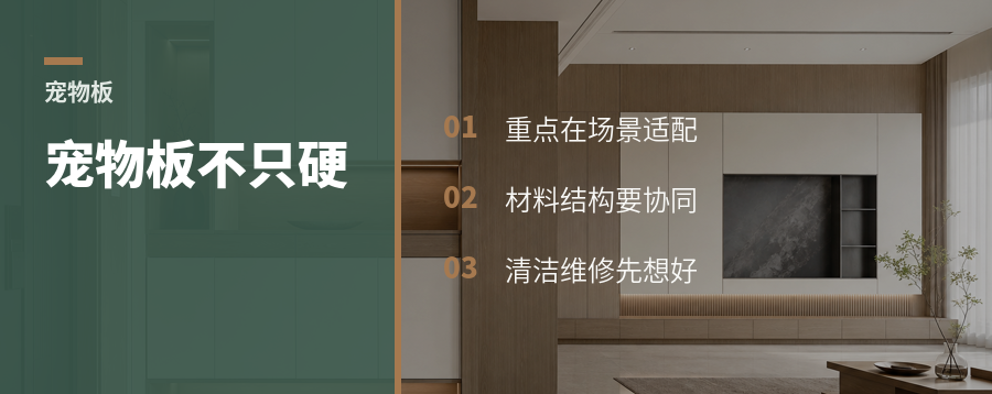 宠物板走红，整装定制能做什么
