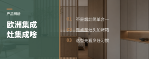 欧洲“集成灶”到底集成了什么