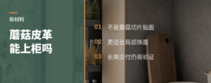 蘑菇皮革，能进高端家具饰面吗