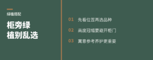 柜子进场后客厅绿植怎么选