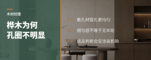 桦木和椴木为何看不出明显孔圈