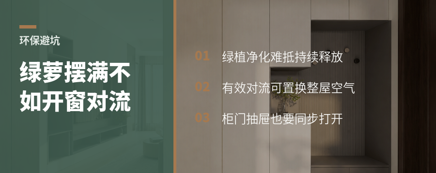 绿萝摆满新房，为什么还不如开窗对流