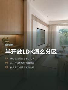 大空间做LDK，半开放厨房该怎么分区