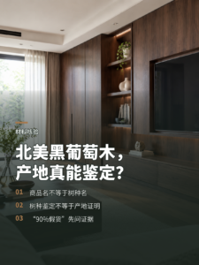 北美黑葡萄木真假难辨，产地凭什么无法确认？